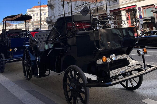 vienna-60-min-royal-e-carriage-sightseeing-tour-with-drinks