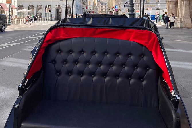 vienna-60-min-royal-e-carriage-sightseeing-tour-with-drinks