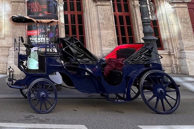 vienna-60-min-royal-e-carriage-sightseeing-tour-with-drinks