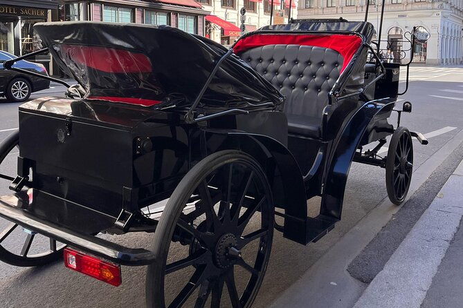 vienna-60-min-royal-e-carriage-sightseeing-tour-with-drinks