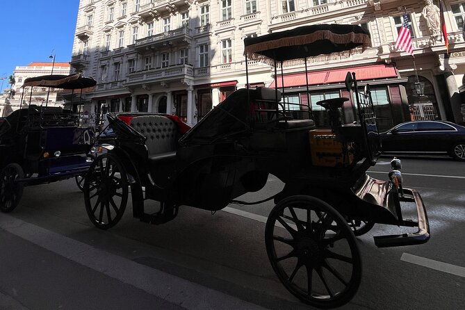 vienna-60-min-royal-e-carriage-sightseeing-tour-with-drinks
