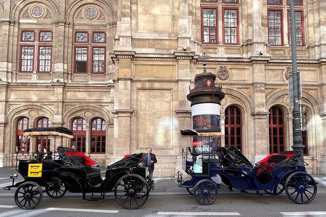 vienna-60-min-royal-e-carriage-sightseeing-tour-with-drinks