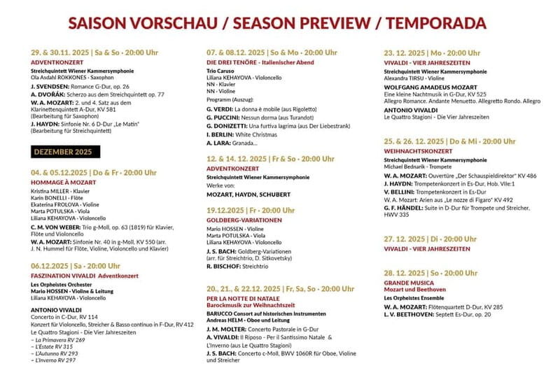 Vienna: Advent, Christmas and New Year's Concerts - A Closer Look at the Experience