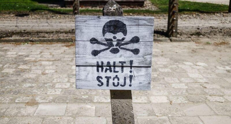 vienna-auschwitz-birkenau-full-day-tour-w-hotel-transfers