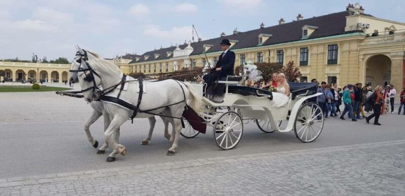 vienna-carriage-ride-through-schonbrunn-palace-gardens