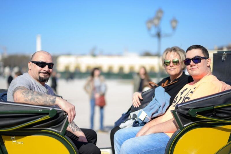 vienna-carriage-ride-through-schonbrunn-palace-gardens