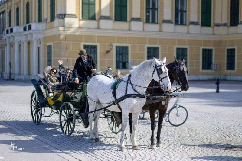 vienna-carriage-ride-through-schonbrunn-palace-gardens