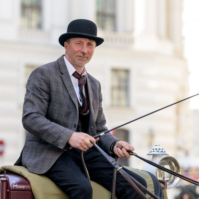 vienna-carriage-ride-through-schonbrunn-palace-gardens