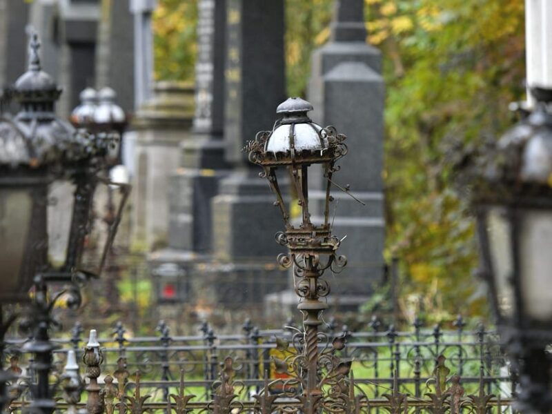 vienna-central-cemetery-guided-walking-tour-with-fascinating-secrets