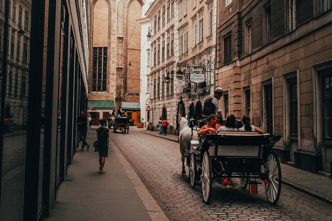 vienna-city-day-tour-in-luxury-eco-friendly-tesla