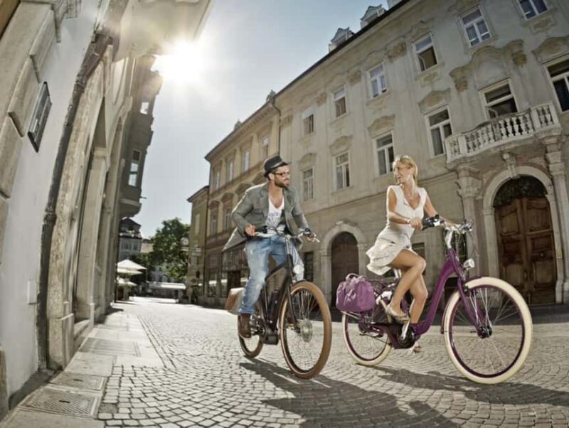 Vienna: City Highlights E-Bike Tour - Timing, Group Size, and Price