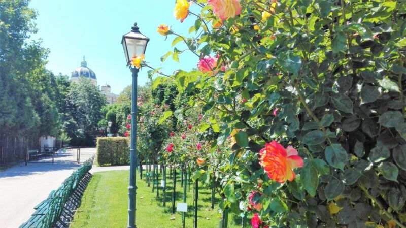 vienna-city-highlights-guided-walking-tour-old-town