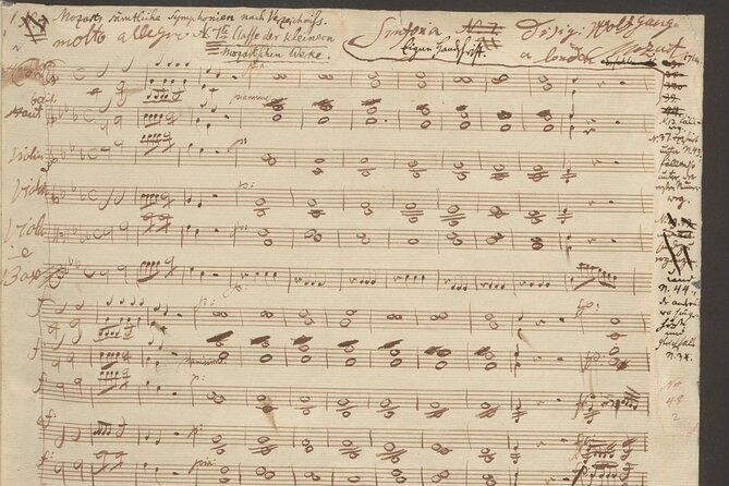 vienna-city-of-music-private-walking-tour-4