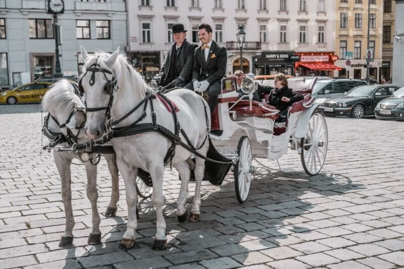 vienna-culinary-horse-drawn-carriage-experience