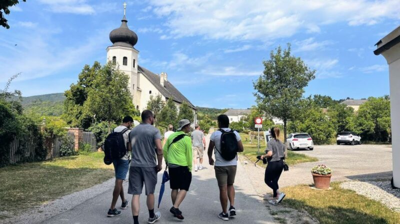 Vienna: Full-Day Vienna Woods Wine Tasting Tour - An Honest Look at a Scenic Wine Experience Near Vienna