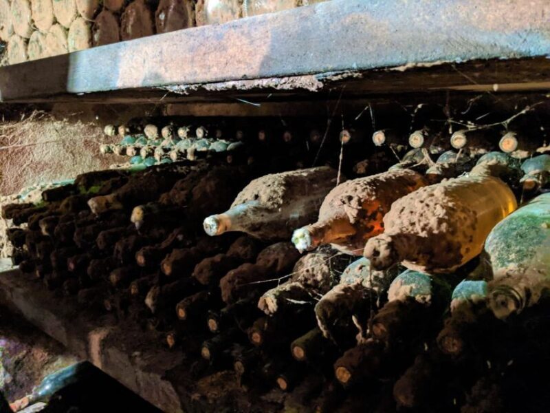 Vienna: Full-Day Vienna Woods Wine Tasting Tour - Who Should Consider This Tour?