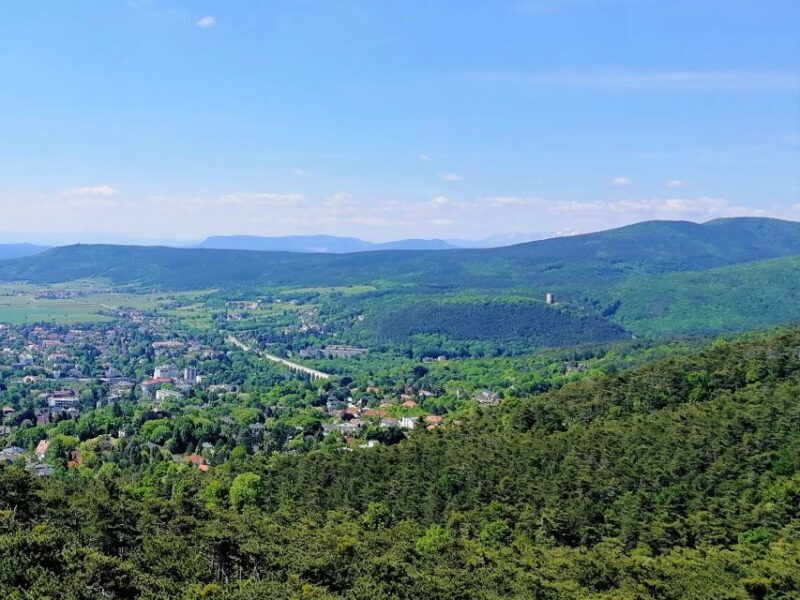 Vienna: Full-Day Vienna Woods Wine Tasting Tour - Frequently Asked Questions