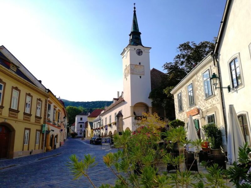 Vienna: Full-Day Vienna Woods Wine Tasting Tour - Final Words