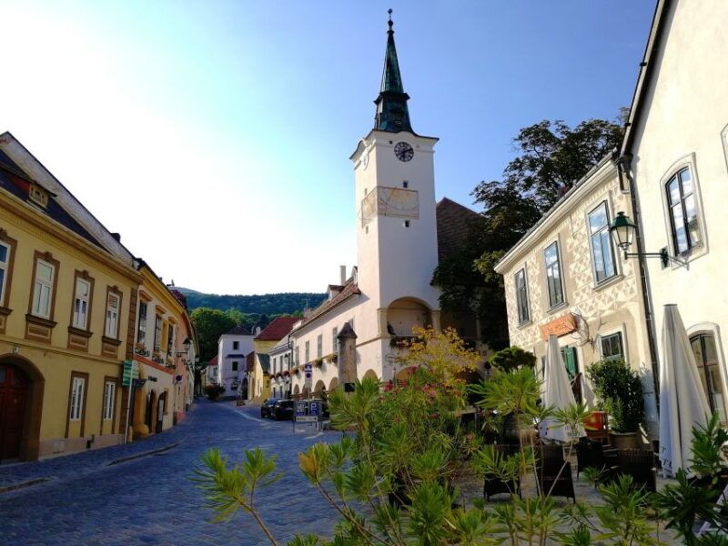 vienna-full-day-vienna-woods-wine-tasting-tour