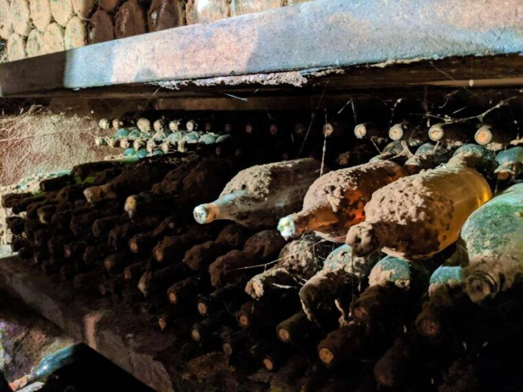 vienna-full-day-vienna-woods-wine-tasting-tour