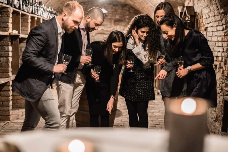 Vienna: Historical Wine Cellar Guided Tour - Deep Dive into the History and Cultural Context