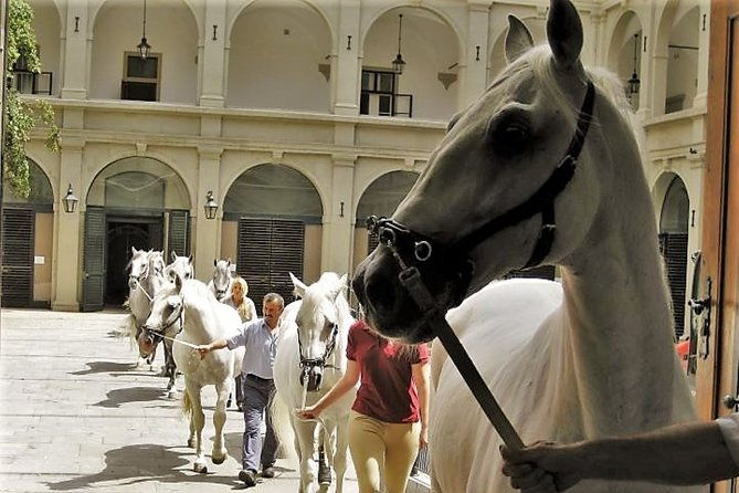 vienna-inner-city-highlights-private-walking-tour-2