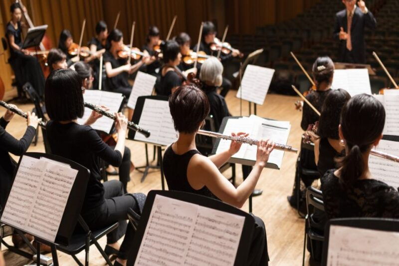 vienna-meet-strauss-private-guided-walking-tour