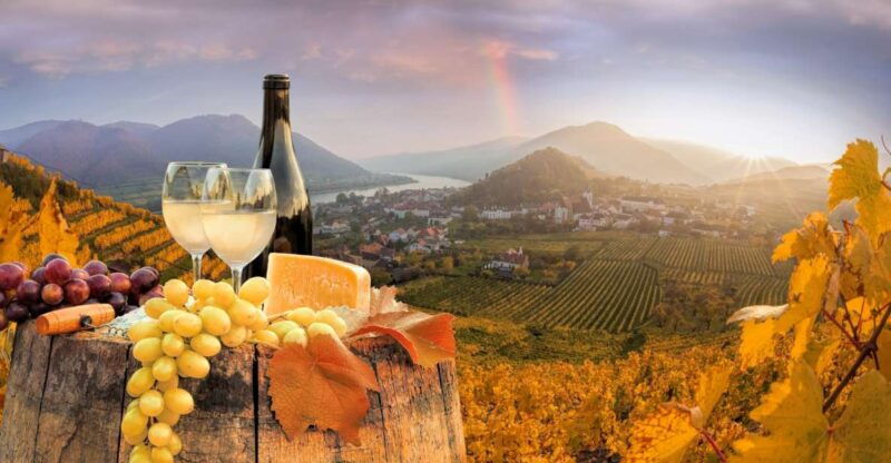 vienna-melk-wachau-wine-lower-austria-day-trip-by-car