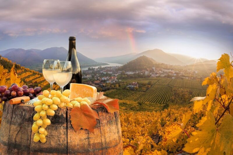 vienna-melk-wachau-wine-lower-austria-day-trip-by-car