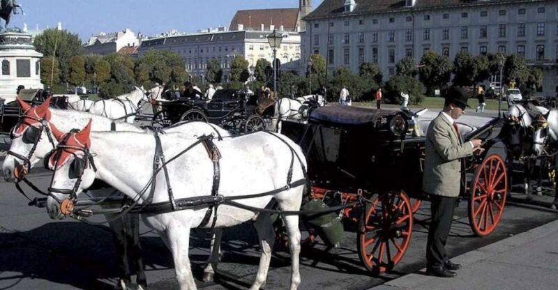 vienna-mozart-concert-with-dinner-and-carriage-ride