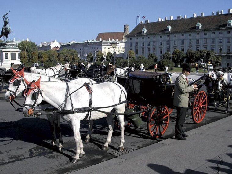 vienna-mozart-concert-with-dinner-and-carriage-ride