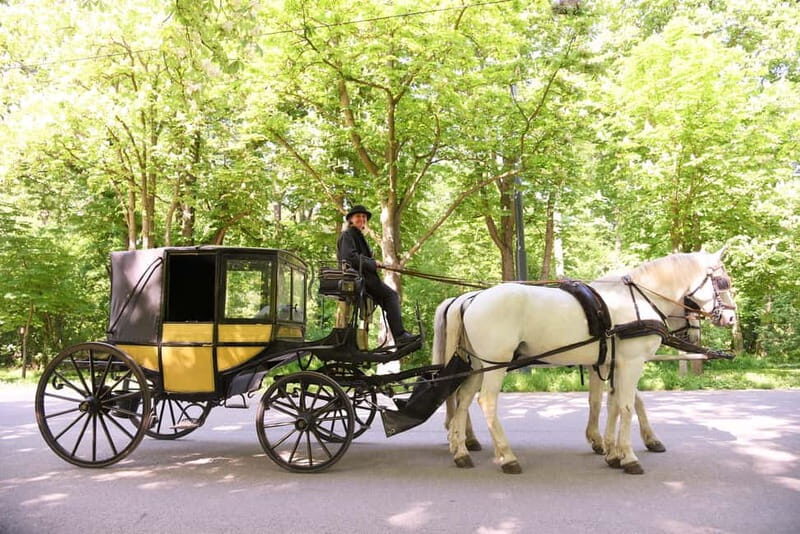Vienna Porcelain Carriage - A discreet Prater carriage ride for adults - Vienna Porcelain Carriage - A Discreet Prater Carriage Ride for Adults