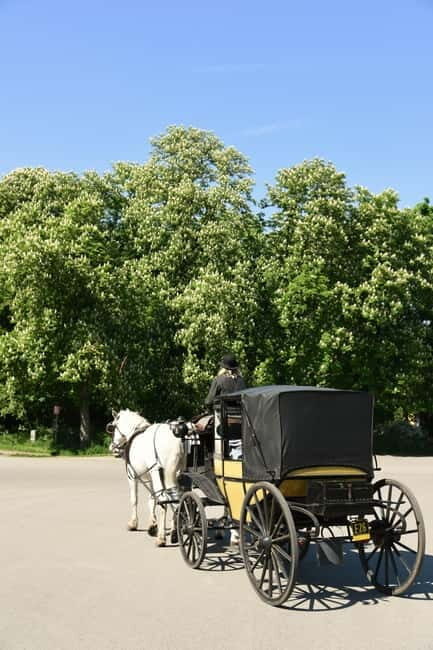 Vienna Porcelain Carriage - A discreet Prater carriage ride for adults - What the Experience Includes