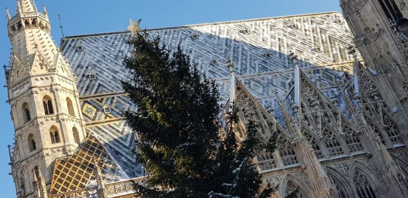 vienna-private-christmas-markets-tour-with-drink-snack
