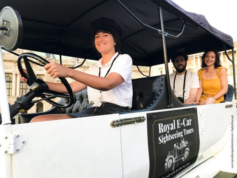 vienna-private-electric-car-sightseeing-tour