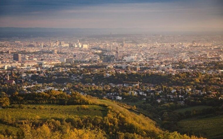 vienna-private-half-day-sightseeing-tour-with-a-local
