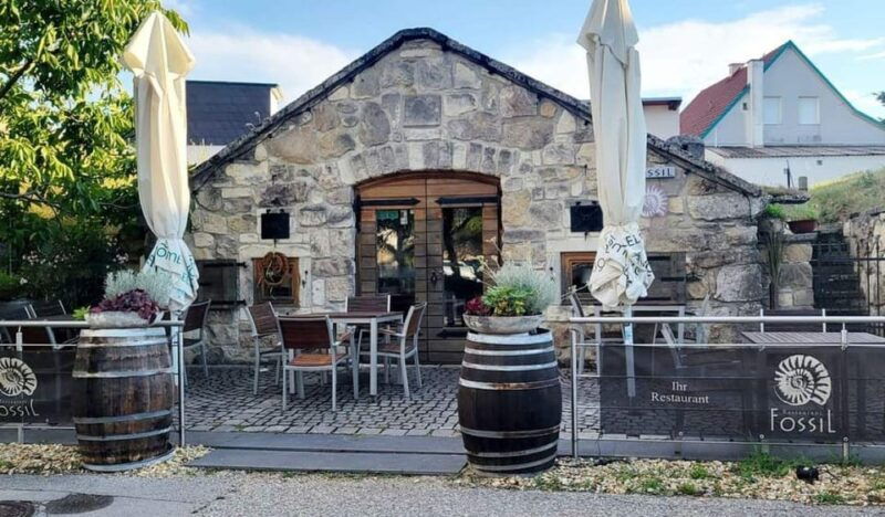 vienna-private-tour-lake-neusiedl-rust-purbach