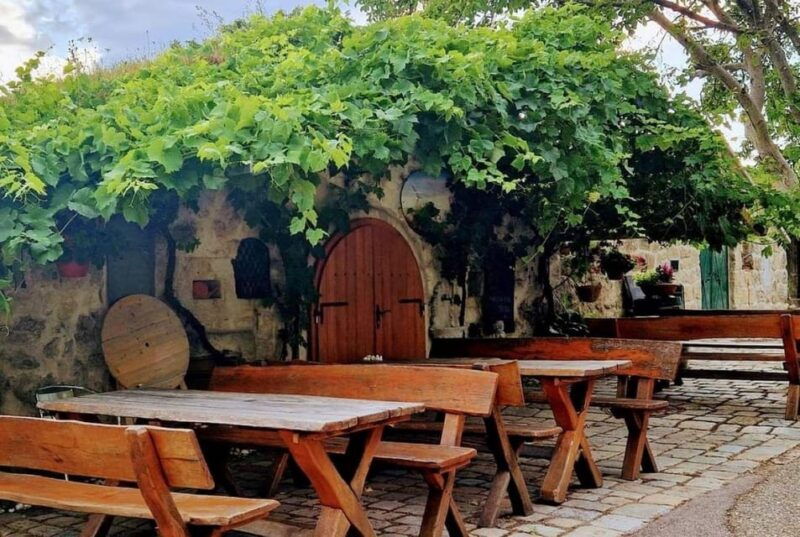 vienna-private-tour-lake-neusiedl-rust-purbach