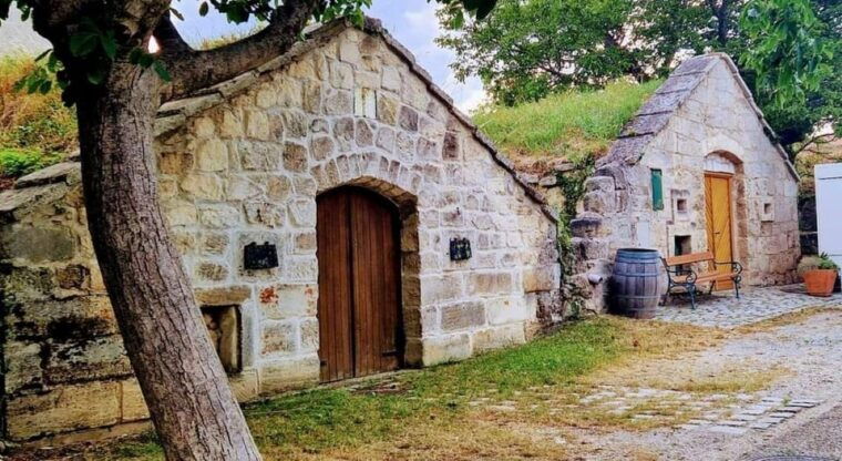 vienna-private-tour-lake-neusiedl-rust-purbach