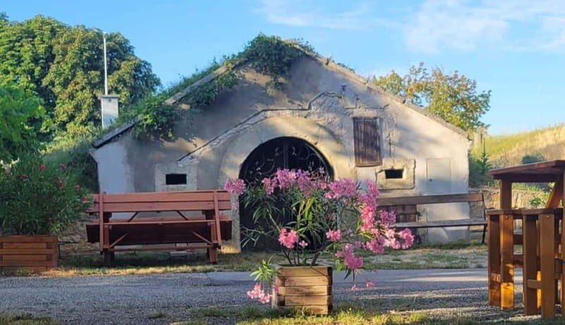 Vienna: Private tour Lake Neusiedl, Rust (wine tasting) Purbach - Final Thoughts: Who Will Love This Tour?
