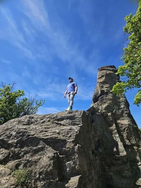 Vienna: Private Wachau tour to Dürnstein and Melk - The Comfort of Private Transportation and Flexibility