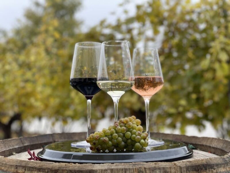 vienna-schonbrunn-palace-entry-ticket-and-wine-tasting