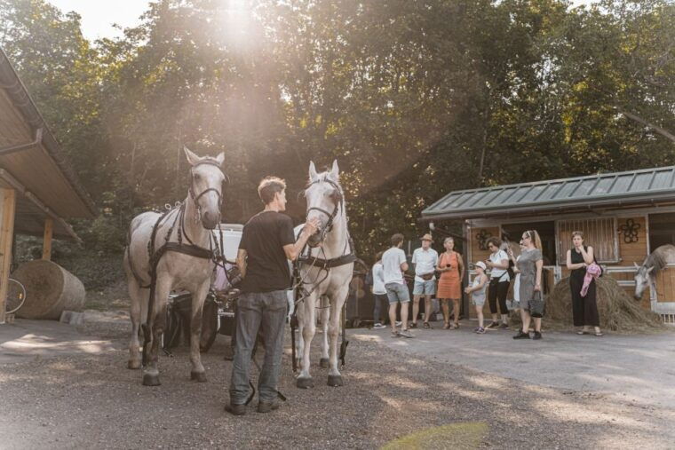 vienna-secrets-of-the-fiaker-horse-drawn-carriage-ride