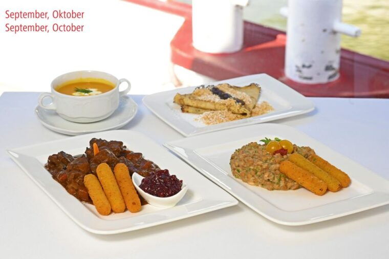 vienna-sightseeing-boat-tour-with-lunch
