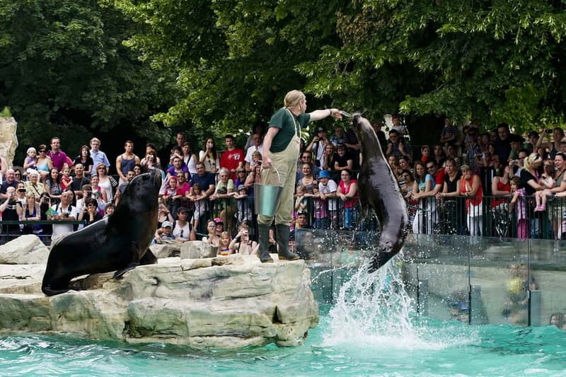 Vienna: Skip-the-line Tickets for Schönbrunn Zoo - Conservation and Education: More Than Just Seeing Animals