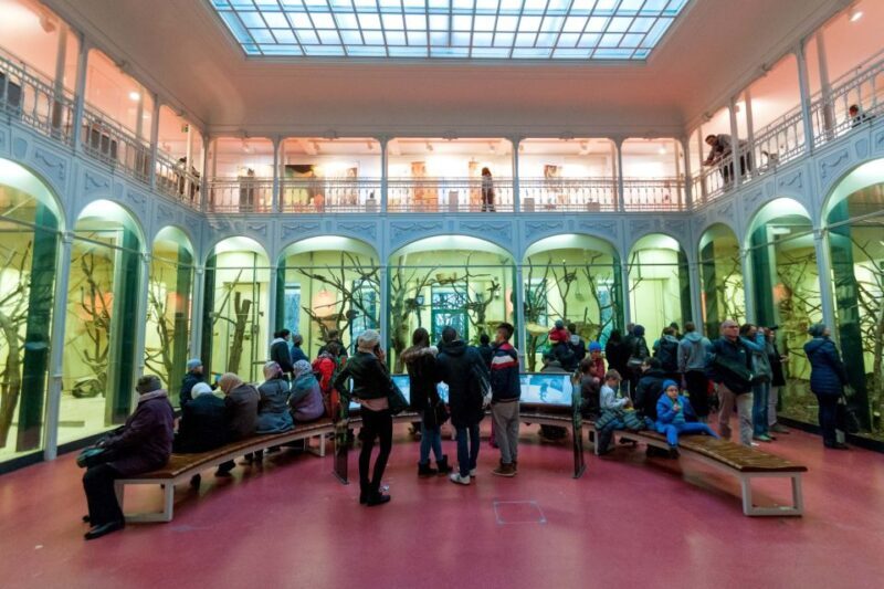 Vienna: Skip-the-line Tickets for Schönbrunn Zoo - Is It Worth the Price?