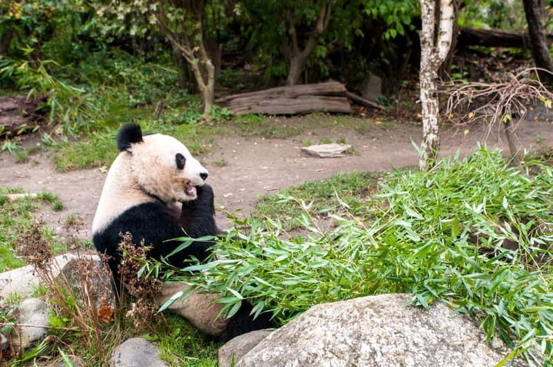 Vienna: Skip-the-line Tickets for Schönbrunn Zoo - Who Will Love This Experience?