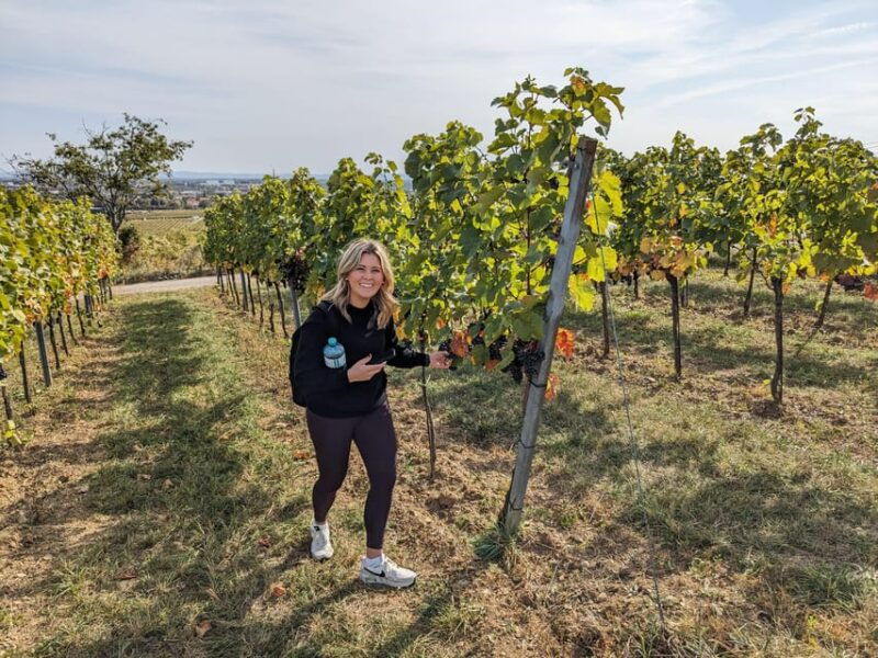 vienna-small-group-wine-tasting-tour