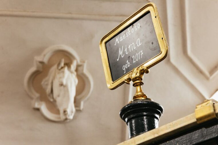 vienna-spanish-riding-school-guided-tour