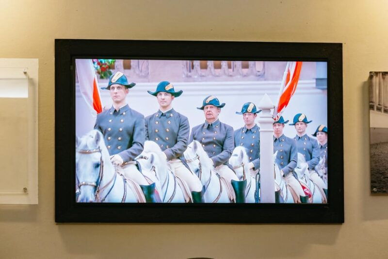 vienna-spanish-riding-school-stables-guided-tour